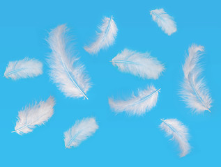 White feather floating in the air on blue sky.