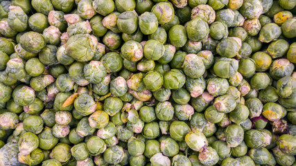 Bio brussel sprouts background