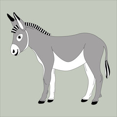 cartoon  donkey ,vector illustration ,flat style,profile 