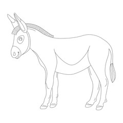 cartoon  donkey  ,vector illustration , lining draw,profile 