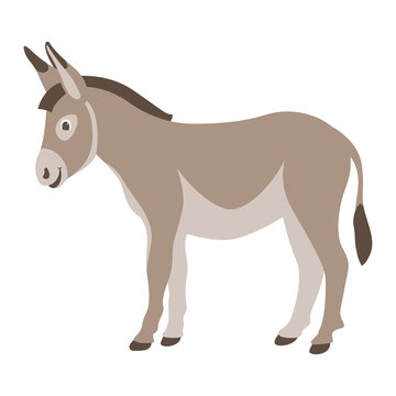 cartoon  donkey ,vector illustration ,flat style,profile