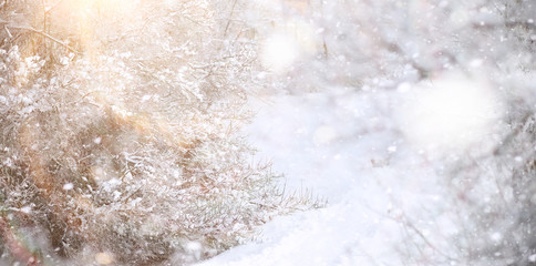 Winter Park. Landscape in snowy weather. January.