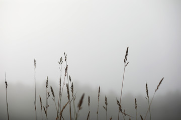 End of summer season in the park