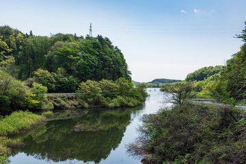 Fototapeta na wymiar 宮城花山小田ダム湖新緑で満水の風景