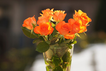 Lachsfarbende Rosen in der Vase