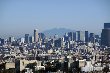 Fototapeta na wymiar 東京都心越しに見る筑波山