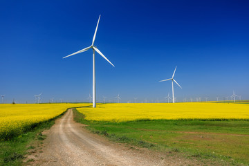 Wind turbines. Fields with windmills. Rapeseed field in bloom. Renewable energy. Protect the...