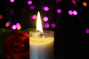 Photoshoot of flower and candle burning on background flicker lamp