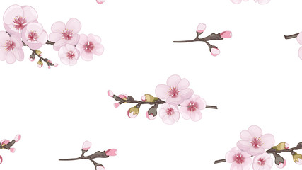 Handmade Seamless pattern in oriental style. Spring pattern of sakura flowers. Theme design fabric, invitations, packaging, cards. Pink on white fond.