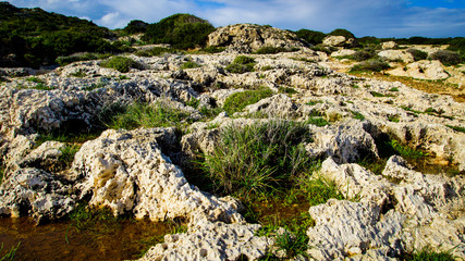 Fototapeta na wymiar Nature of Cyprus