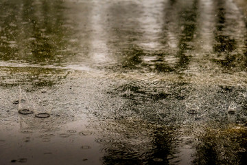 rain drops fall on ground