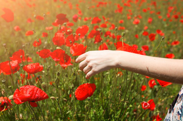 Beautiful girl is standing on summer field full of red poppy flowers in the grass. Happy woman in rustic dress strokes grass with hand. Unity of human with nature. Beauty travel concept.