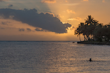 Tropical Sunset with Palm Trees in Silhouette