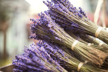 Bunch of smelled dried lavander flowers