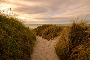 Lichtstimmung am Abend am Darßer Weststrand, Nationalpark Vorpommersche Boddenlandschaft, Mecklenburg Vorpommern, Deutschland
