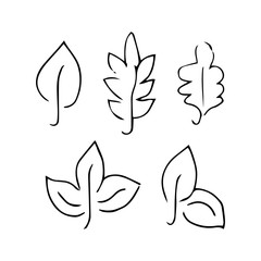 leaves set linear black and white vector illustration