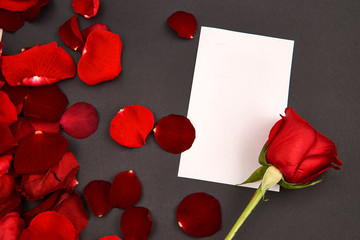 Postcard on red rose petals. White paper