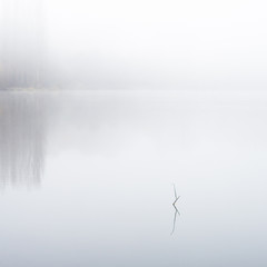 Brume