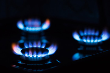 Flames from burning gas on the stove. Blue gas flame