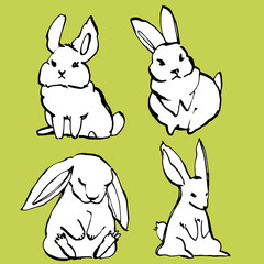 Collection of some cute rabbits, hand draw illustration. Draw vector illustration set character design of cute rabbit.