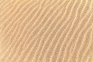 yellow beautiful sand background with sand waves curves in dunas