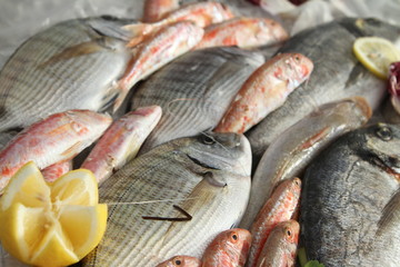 pesce fresco sul bancone di una pescheria