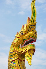 Fototapeta na wymiar Dragon head on sky background.