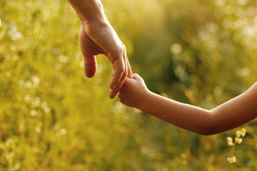 the parent holds the hand of a small child
