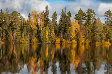 Autumn colorful foliage with lake reflection.