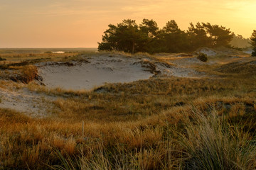 Sonnenaufgang am Darßer Ort an der Ostsee in der Kernzone des Nationalpark Vorpommersche Boddenlandschaft am Darßer Weststrand, Mecklenburg Vorpommern, Deutschland