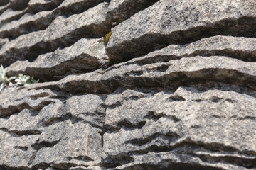 Background - Texture - Stacked Stone Wall, New Zealand.