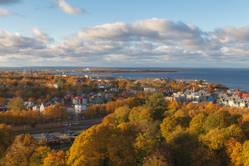 Obraz premium Aerial view of the old city center of Tallinn; Estonia with wooden and stone buildings. Autumn golden season.