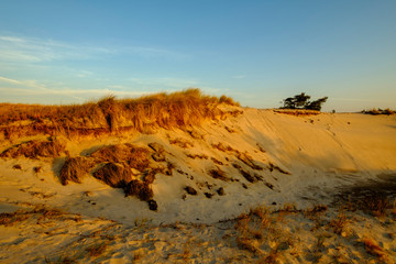 Sonnenaufgang am Darßer Ort an der Ostsee in der Kernzone des Nationalpark Vorpommersche Boddenlandschaft am Darßer Weststrand, Mecklenburg Vorpommern, Deutschland