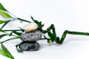 Bamboos on a white background combined with symbolic objects: a round stones