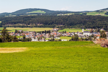 Village of Gosau with its wooden houses in the Alps of Austria on a sunny day.