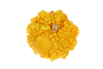 Decorative pumpkin on white background.