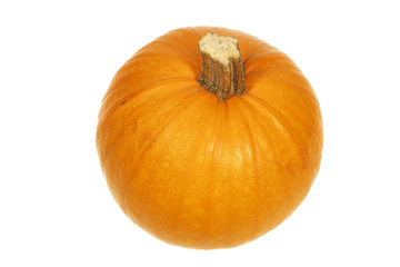 Decorative pumpkin isolated on a white background.