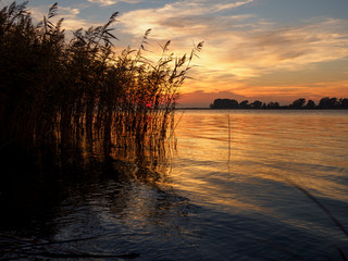 Fototapeta premium Lekki nastrój wieczorem w Zarrenzin z widokiem na wyspę Bock w Parku Narodowym Vorpommersche Boddenlandschaft, Mecklenburg Vorpommern, Niemcy