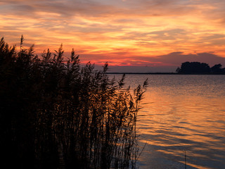 Naklejka na ściany i meble Lichtstimmung am Abend bei Zarrenzin mit Blick zur Insel Bock im Nationalpark Vorpommersche Boddenlandschaft, Mecklenburg Vorpommern, Deutschland