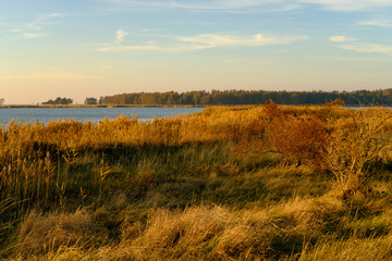 Lichtstimmung am Abend bei Zarrenzin mit Blick zur Insel Bock im Nationalpark Vorpommersche Boddenlandschaft, Mecklenburg Vorpommern, Deutschland
