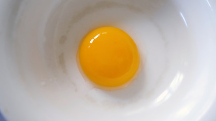 chicken egg in a plate closeup on yolk