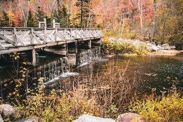 New England Fall 1