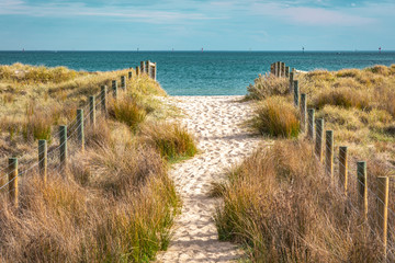 A sandy path