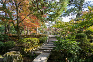 秋の兼六園　紅葉