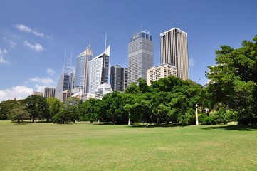Fototapeta na wymiar Sydney Skyline from Royal Botanic Gardens