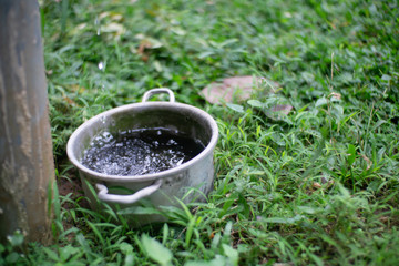 watering a plant in the garden