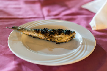 Grilled sea fish on white plate. alone.