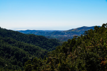 mountains, blue, sky, expanse, distance, horizon, plants, forest, trees, nature, landscape, excursion, walk, journey