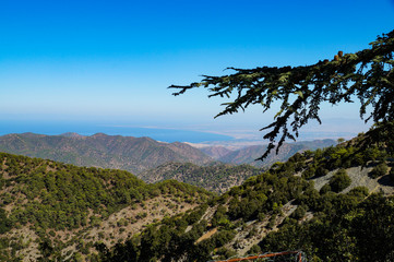 mountains, blue, sky, expanse, distance, horizon, plants, forest, trees, nature, landscape, excursion, walk, journey