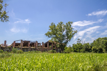 Campagna intorno a San Felice, Milano (Lombardia)